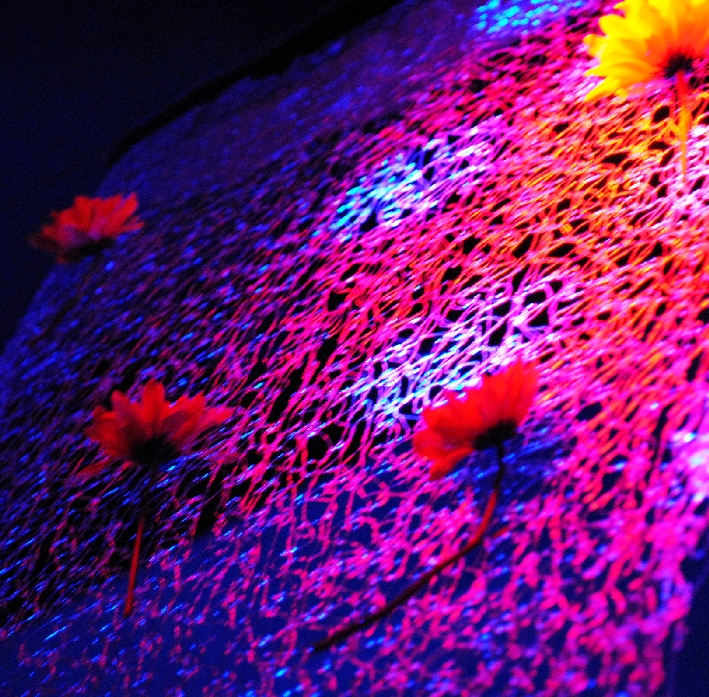 3JahreKK mff fazoletti (17)